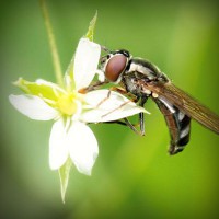 /album/tubacase2/photolia-a02-jpg/