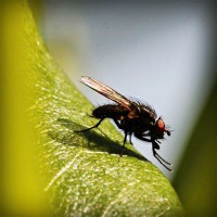 /album/tubacase2/photolia-a04-jpg/