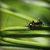 /album/tubacase2/photolia-a05-jpg/
