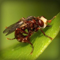 /album/tubacase2/photolia-a06-jpg/