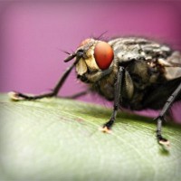 /album/tubacase2/photolia-a08-jpg/